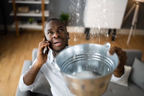 Best Water damage restoration near me  in Hayfield, MN