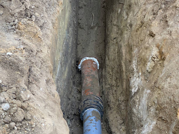  Hayfield, MN Water damage restoration Pros
