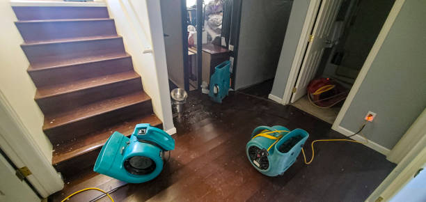 Best Commercial water damage restoration  in Hayfield, MN