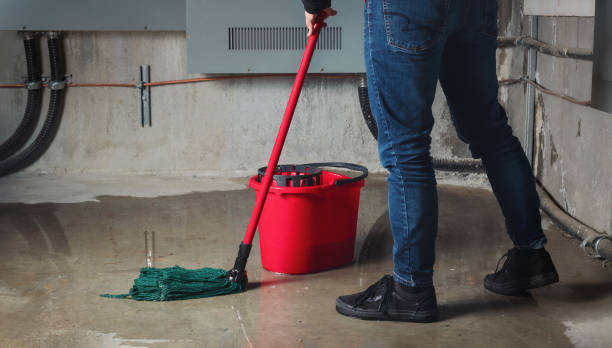 Best Ceiling water damage repair  in Hayfield, MN
