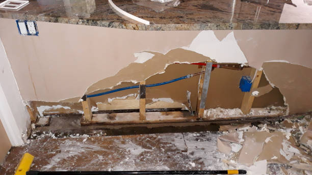 Best Professional water damage repair  in Hayfield, MN