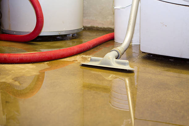 Reliable MN Water damage restoration Solutions