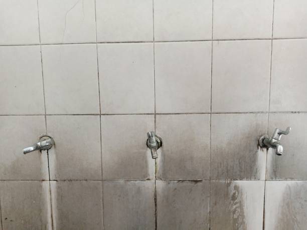 Best Flood damage cleanup  in Hayfield, MN