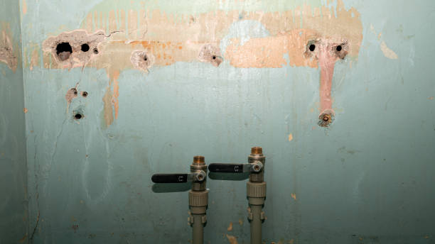 Best Professional water damage repair  in Hayfield, MN