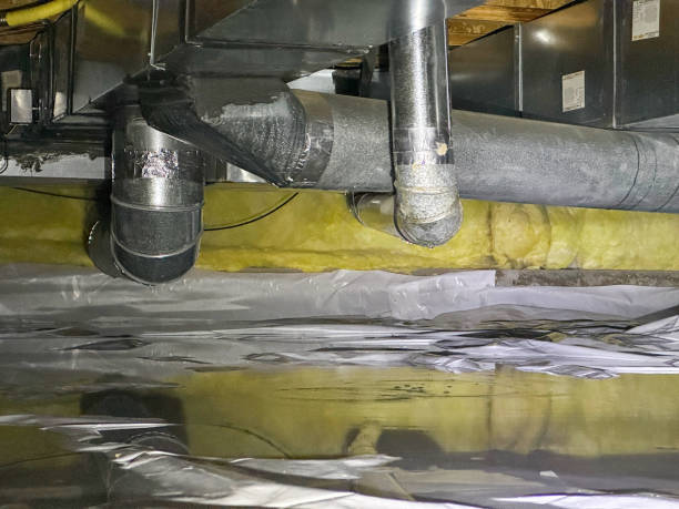 Best Carpet water damage restoration  in Hayfield, MN