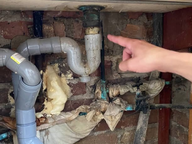 Best Emergency water damage restoration  in Hayfield, MN