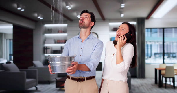 Best Mold removal after water damage  in Hayfield, MN