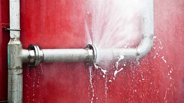 Best Water damage restoration company  in Hayfield, MN
